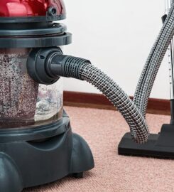 Pelham Bay Carpet Cleaning