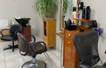 Palms Salon