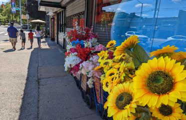 Queens Beauty Parlor – Bellmore Ave