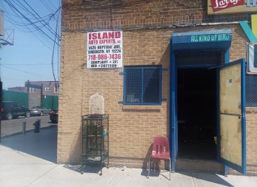 ISLAND AUTO EXPERTS INC.