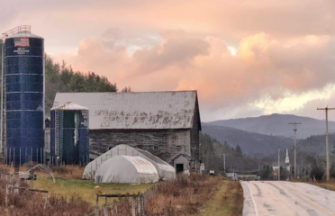 Vermont Backcountry Real Estate