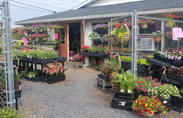 Eagle Point Farm Market and Greenhouses