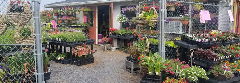 Eagle Point Farm Market and Greenhouses