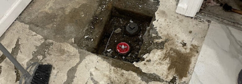 Express Sewer Drain Cleaning & Repairs Inc .