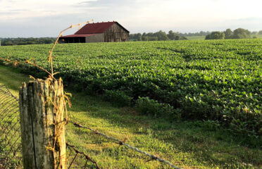 HOME and LAND of Kentucky Real Estate