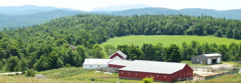 Yankee Farmer’s Market