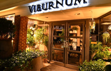 Viburnum Designs