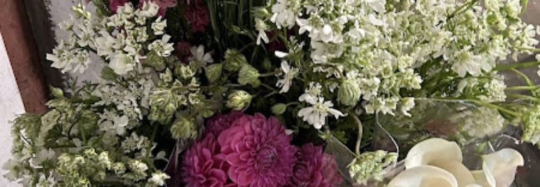 B W Wholesale Florist