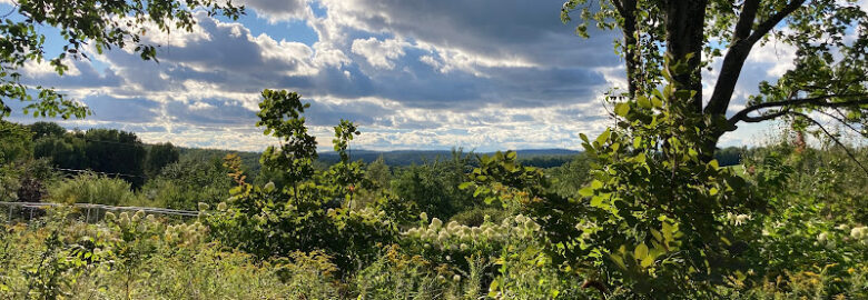 Vermont Willow Nursery