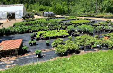 Van Berkum Nursery