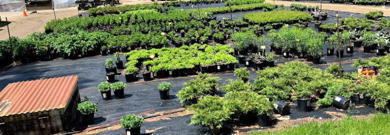 Van Berkum Nursery