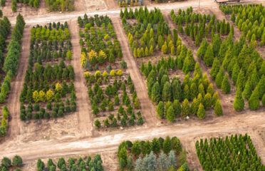 Cavicchio Greenhouses Inc.