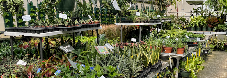 Merrimack Flower Shop & Greenhouse