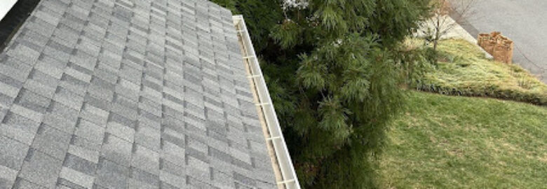 Augustine Roofing