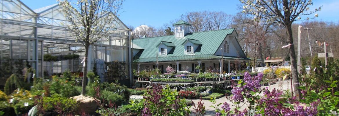 Weston Nurseries of Chelmsford