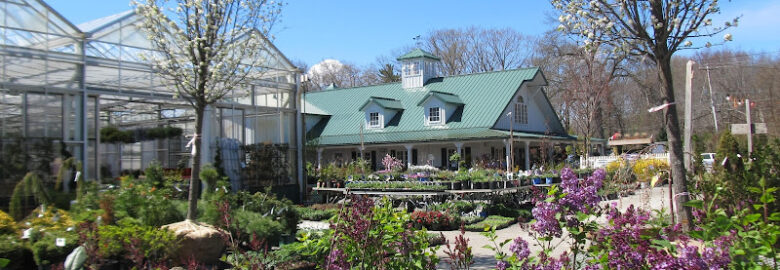 Weston Nurseries of Chelmsford