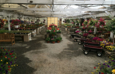 Peterson’s Nursery