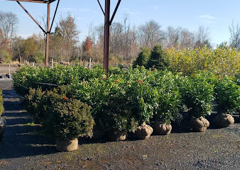 Feeney’s Wholesale Nursery