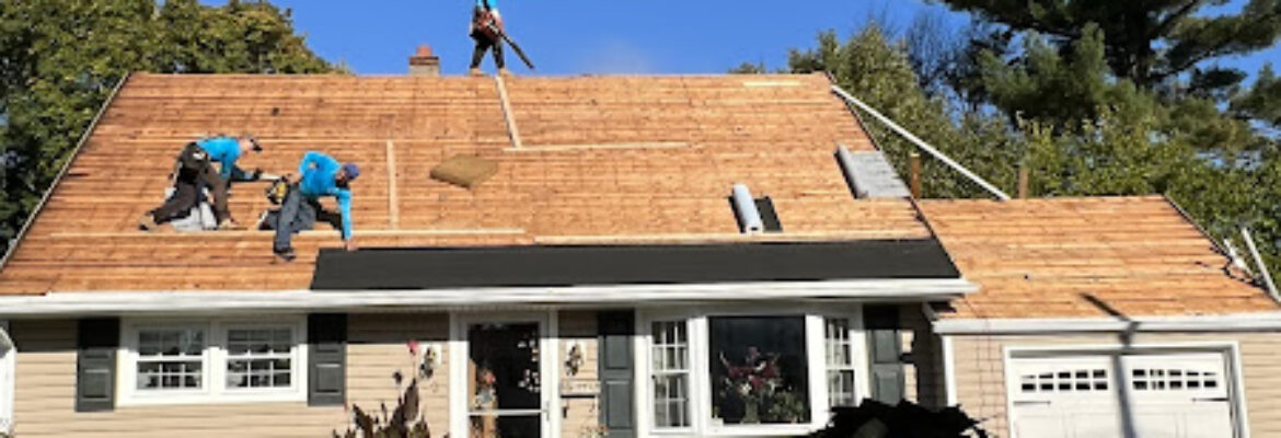 Vision Roofing & Exteriors Services LLC